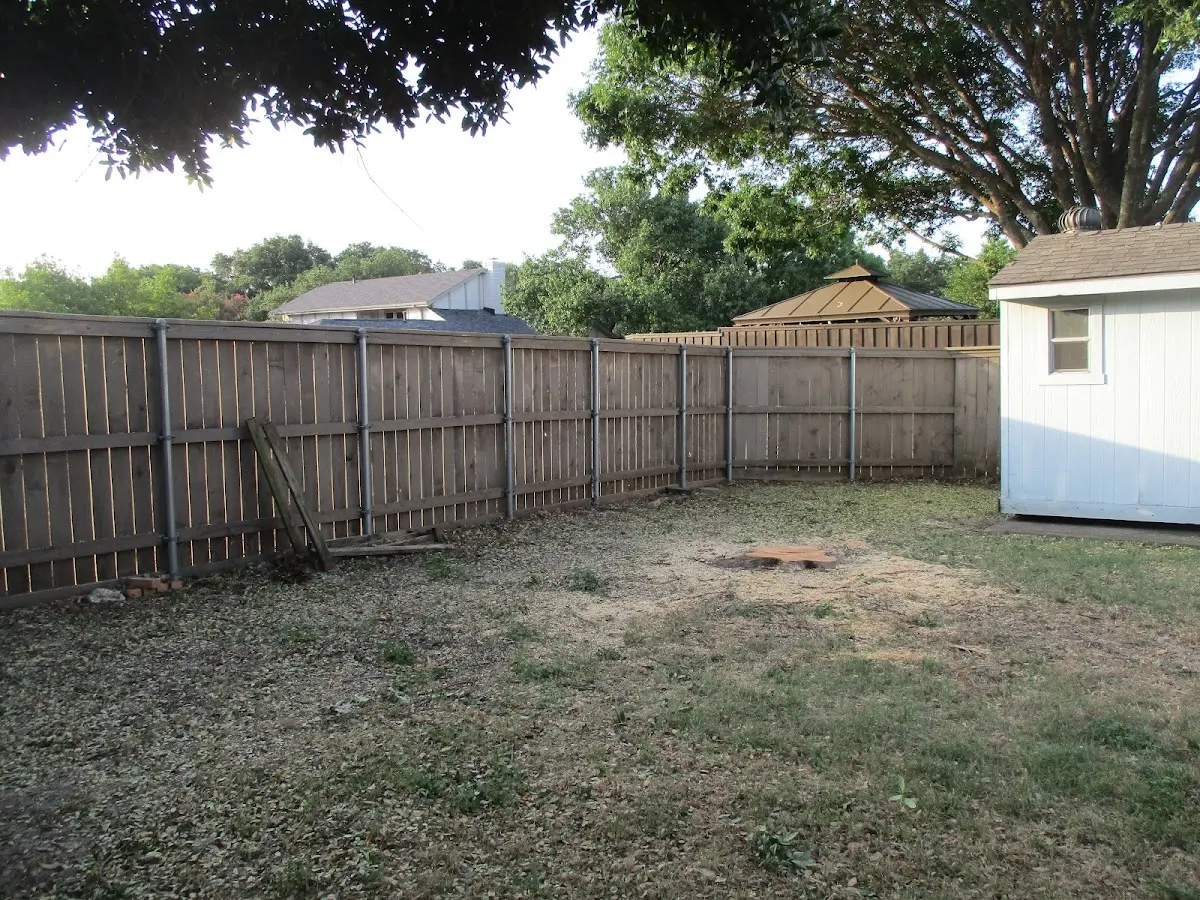Cleared yard after professional tree removal in Mellenville